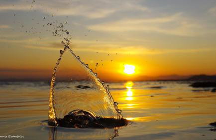 Garden house - Photo 56