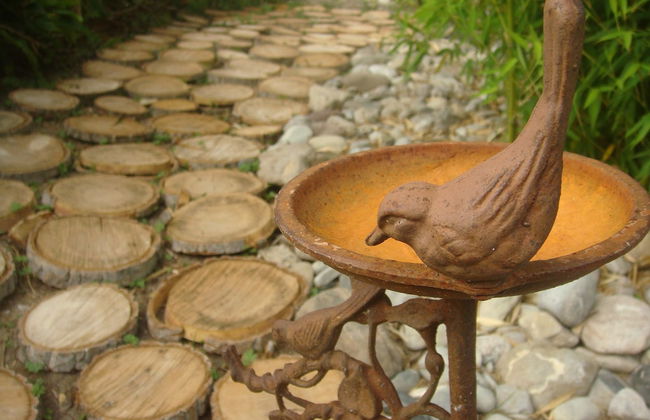 Moli del Caso - Photo 16