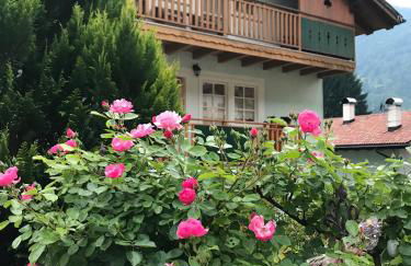 La Casa Verde - Foto 1