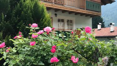 La Casa Verde - Foto 1, Garden view