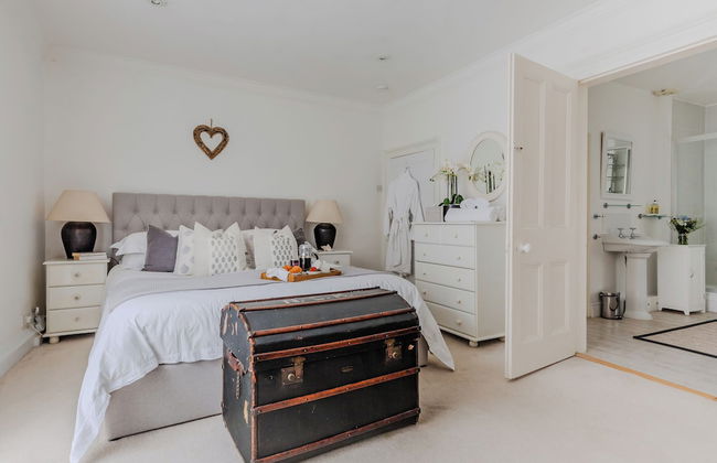 Blue Monkey - Foto 19