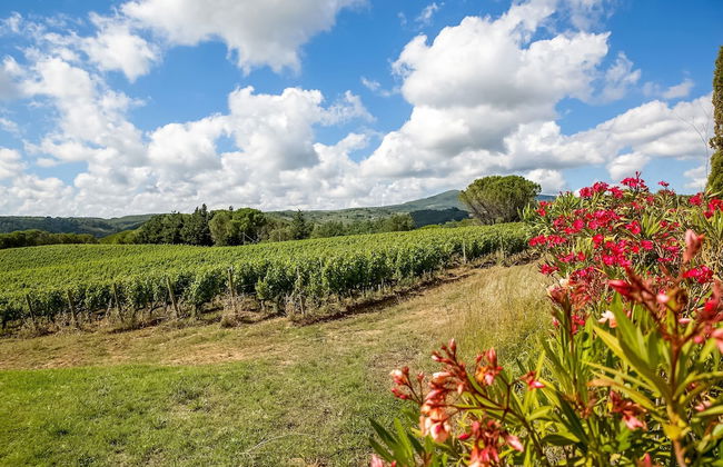 Tuscan Farmhouse in Montescudaio near Sea - Photo 32