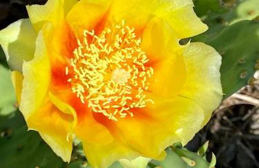 Lovrini Dvori - Photo 15