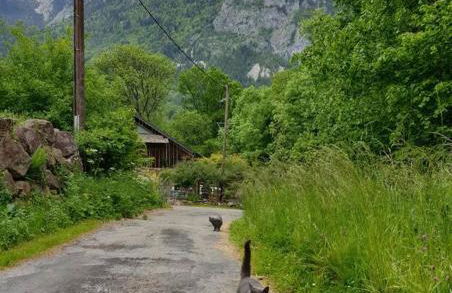 Le Chalet du BioT - Foto 21