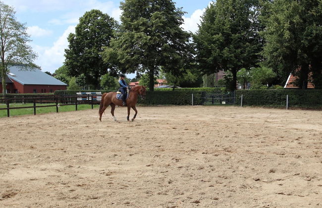 Apartment in Strackholt - Photo 18