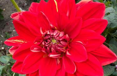 Ferienwohnung Am Berg - Foto 18