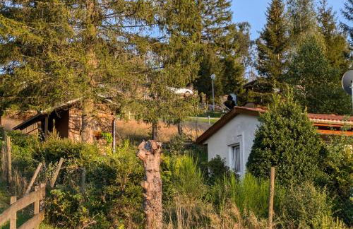 Ferienhaus Goldisthal - Photo 30