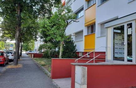 Chez Alice - Foto 16