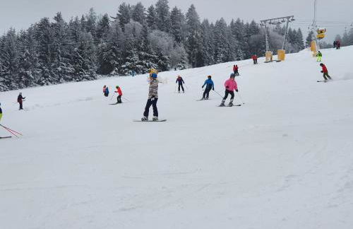 FeWo Amalia - Foto 41