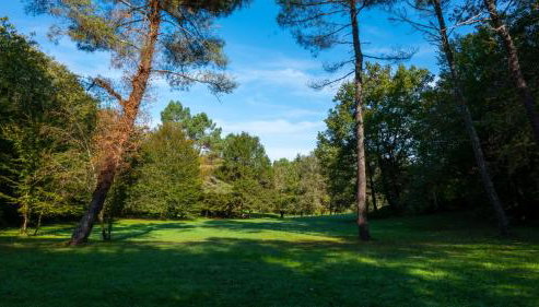 Larroque Haute Gites - Foto 4, Garden