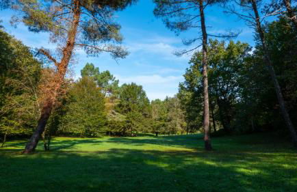 Larroque Haute Gites - Foto 60