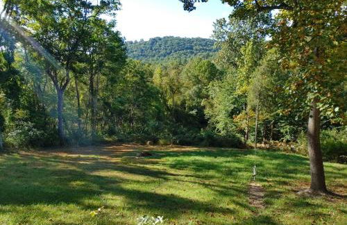 Hidden Gem on Hidden Valley Lane - Photo 51