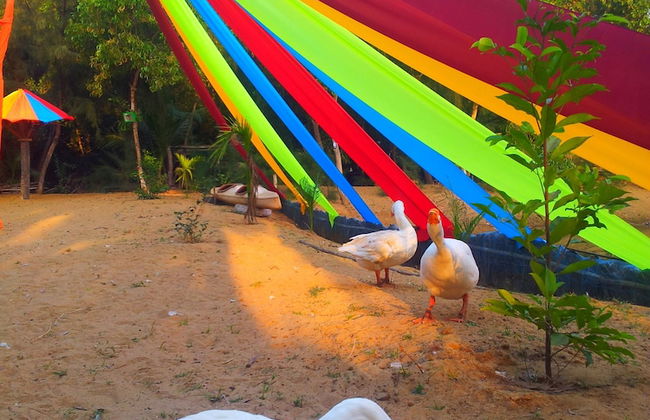 Daaven's Island Resort - Photo 23