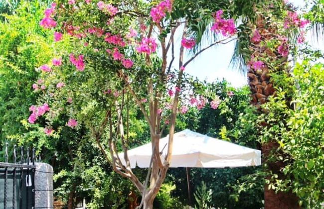 Villa Center - Foto 26