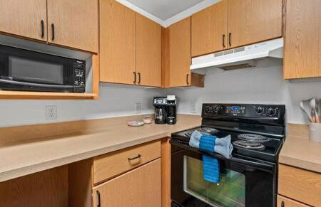 2 MI to USF + Long Term Stays allowed + Gym + Pool - Foto 16