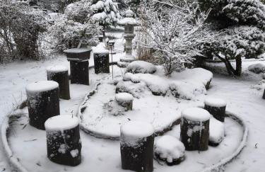 Ogród Shinrin Yoku (Haru) Odpoczynek w Lesie - Foto 17