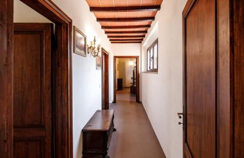 La finestra sul Luca - Foto 21