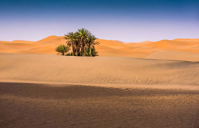 Balade en buggy dans le désert de Merzouga - Photo 7