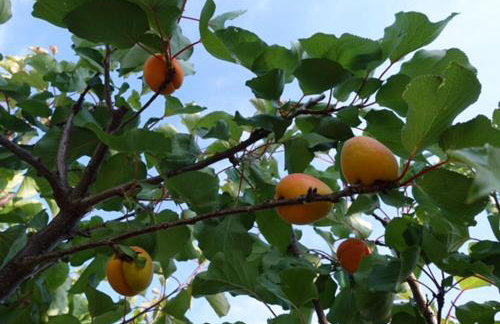 B&B Hestia's Hideaway - Foto 23