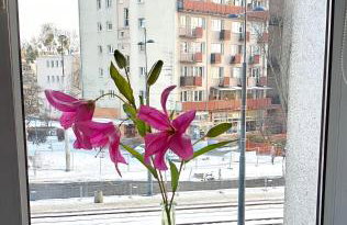 Blue Dream - Warsaw Ochota Apartment - Photo 9