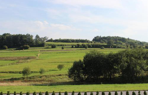 Dwór Bysina - Foto 24