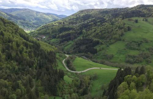 Saunaparadies Black Forest - Foto 5