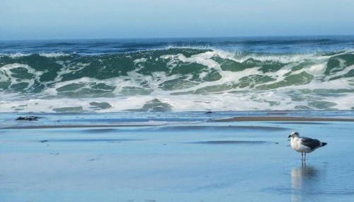 Breaking Waves! On the Bluff! AMAZING VIEWS!! BBQ! Fast WiFi! Walk to Beach!!! - Foto 5, Other