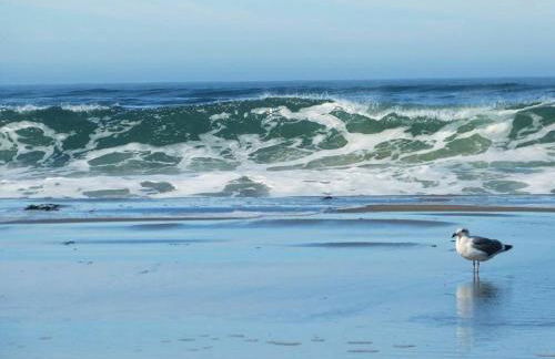 Breaking Waves! On the Bluff! AMAZING VIEWS!! BBQ! Fast WiFi! Walk to Beach!!! - Foto 5