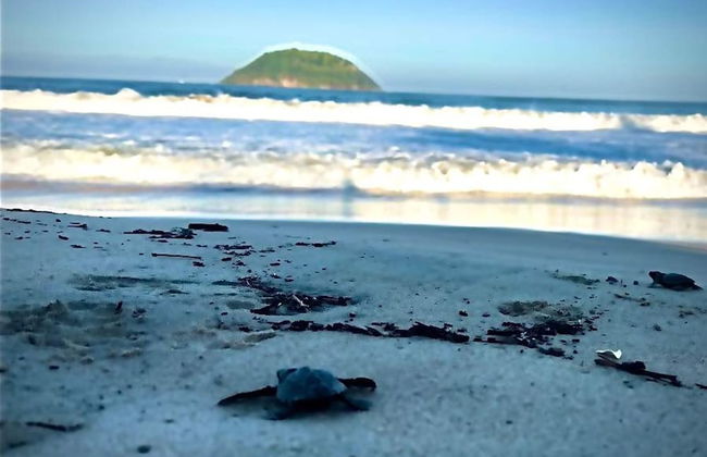 Casa Sirena - Seaside Studio - Foto 37