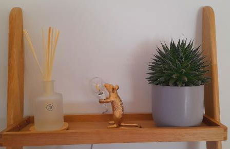 Luxury Barn near Wells - Pool, Gym - Foto 46