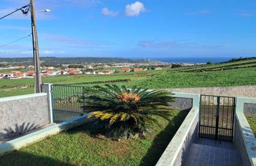 Fontinhas House - Photo 29