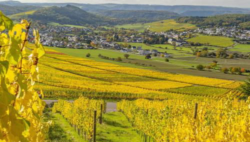 Weingut-Ferienwohnungen Lorenz - nur Urlaubsgäste - Foto 3
