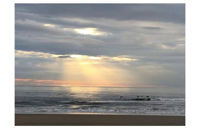 Sunny Shores of Huisduinen - Foto 40