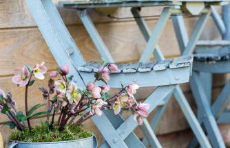 The Annexe - Photo 31