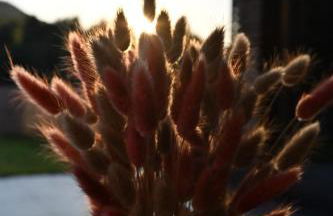 Ferienhaus Christo - Foto 18