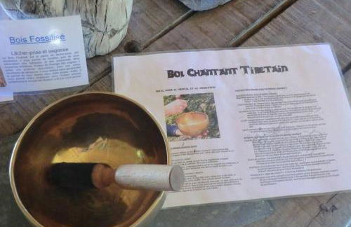 KOTA Finlandais bien être , les gîtes de l'étang - Foto 41