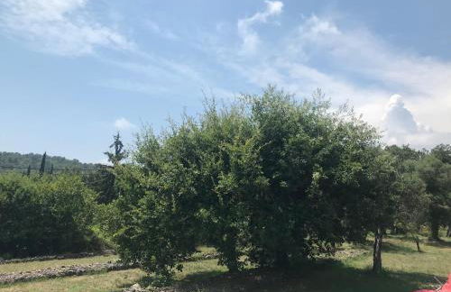 Villa du Sud - Foto 12