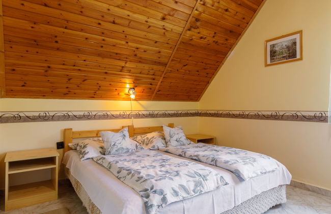 2 bedroom House in Balatonszárszó with garden and terrace - Photo 17