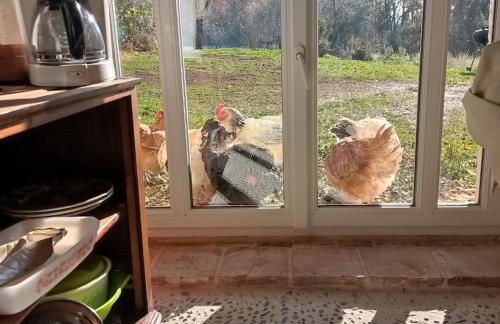 Domaine de la Borde - Foto 50