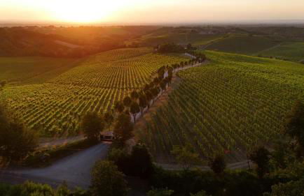 La Meirana - Cottage delle Vigne - Foto 25