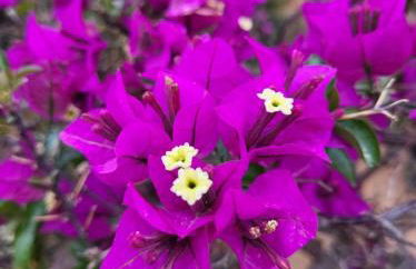 Penthouse Mojon Hills - Foto 33