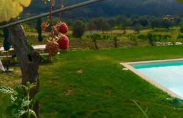 Quinta da Aranha - Foto 49