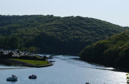 Bosons Bunks 'As seen in Beyond Paradise ' - Foto 3