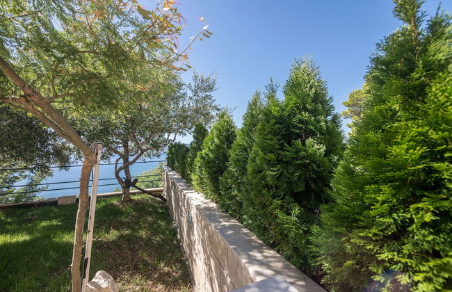 Apartments Djani - Foto 44