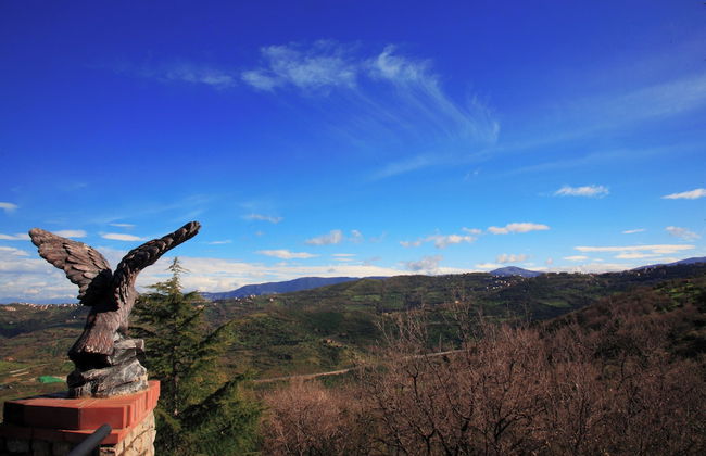 Il Falco Del Cilento - Photo 8