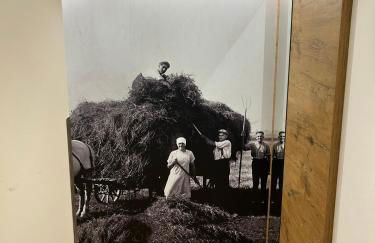 Laupus-Hof - Photo 60