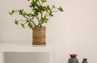 Villa de standing Vista - Domaine Romella - Piscine - Vue Lac de Padula - Foto 26