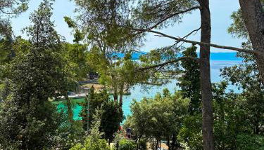 Apartment Oja - Foto 2, Garden, Garden view