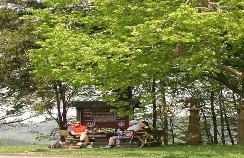 Cozy Apartment in Wilsecker near Forest - Foto 34