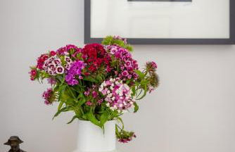 Little Pitnacree - Foto 13